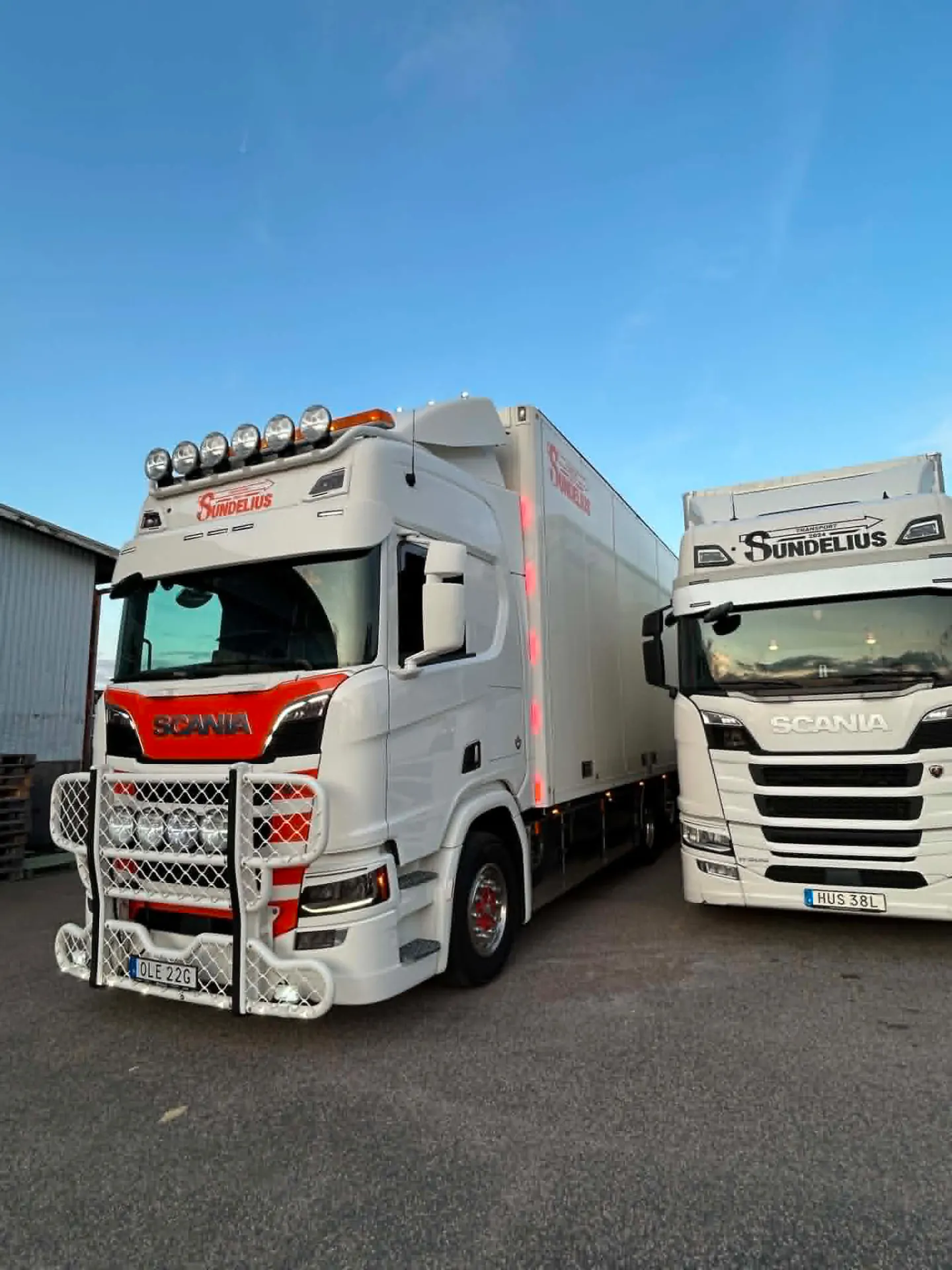 Två Scania-ekipage från T.Sundelius Transport uppställda i kvällsljus
